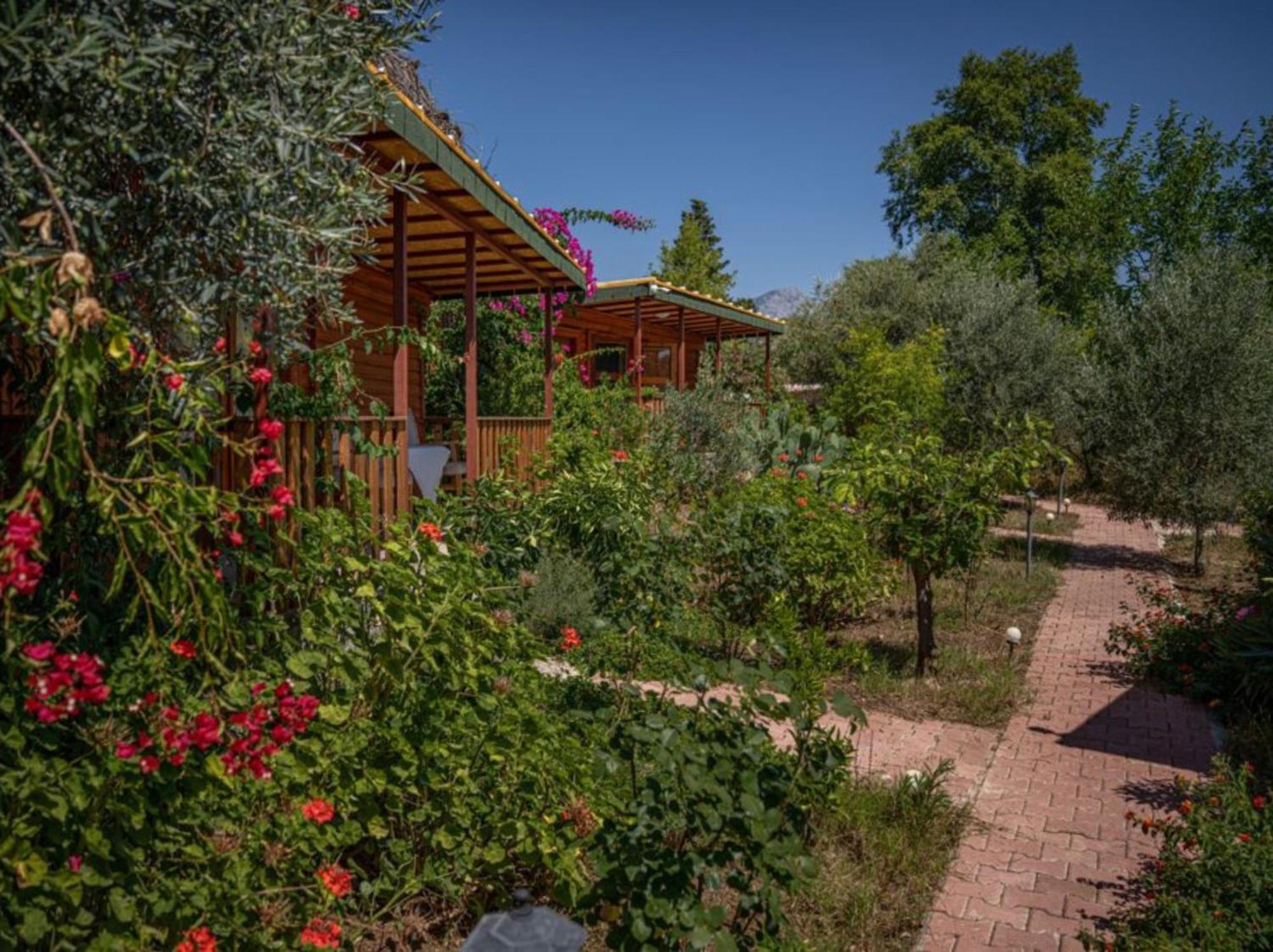 Felicity Hotel & Bungalows Kemer Exterior photo